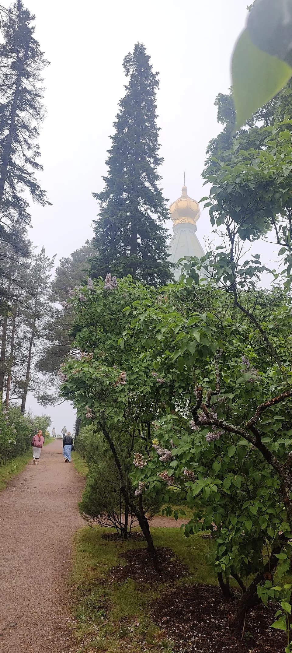 (Продолжение. Начало в предыдущем посте)