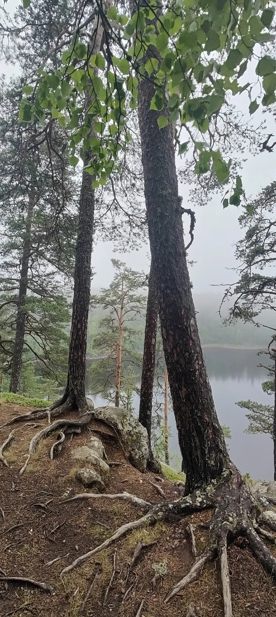 (Валаам, продолжение)